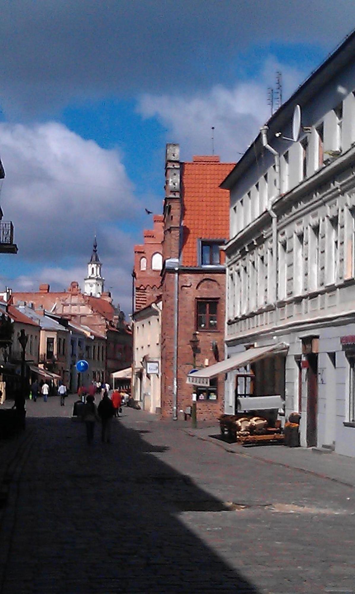 Hostel Lux Kaunas Exteriér fotografie